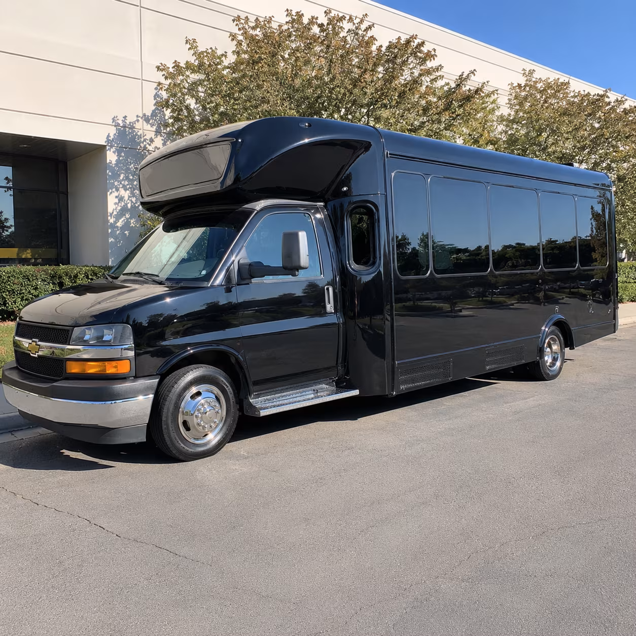 birthday party bus rental